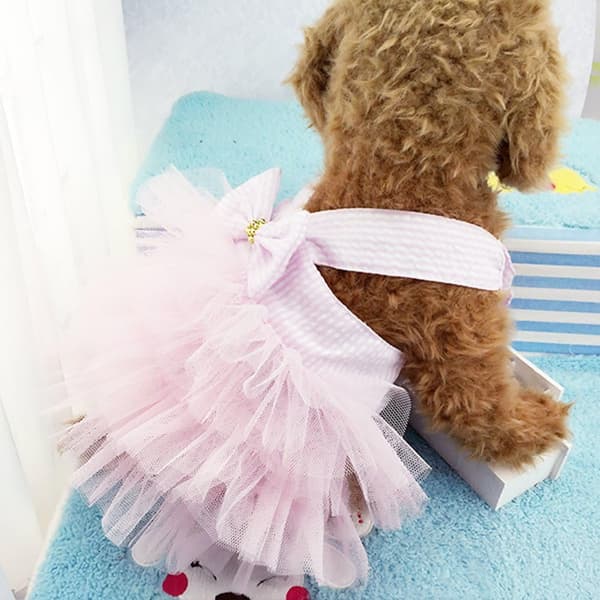 Rosa, liten, hundklänning, modekläder för hundar, randig mesh-valp
