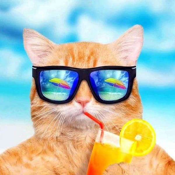 Katt Diamantmaleri Sommer, Solbriller Diamantkunst Katt Strand, Kitt