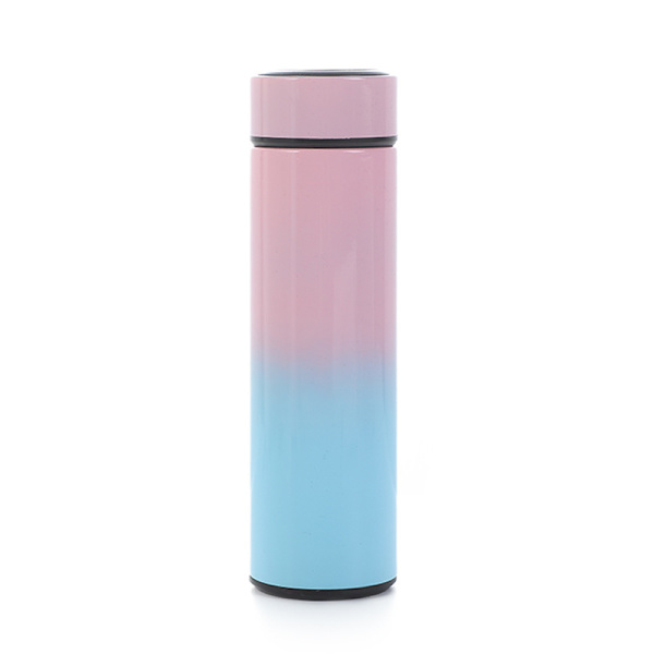 Dewenwils 500ml Termokande i Rustfrit Stål, Varmt Vand Rejse DXGHC
