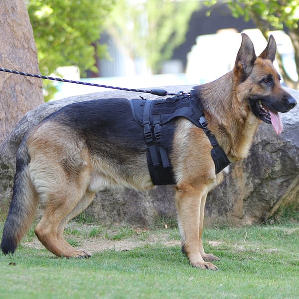 Taktisk hundjacka vattentät explosionssäker flush tactical ch
