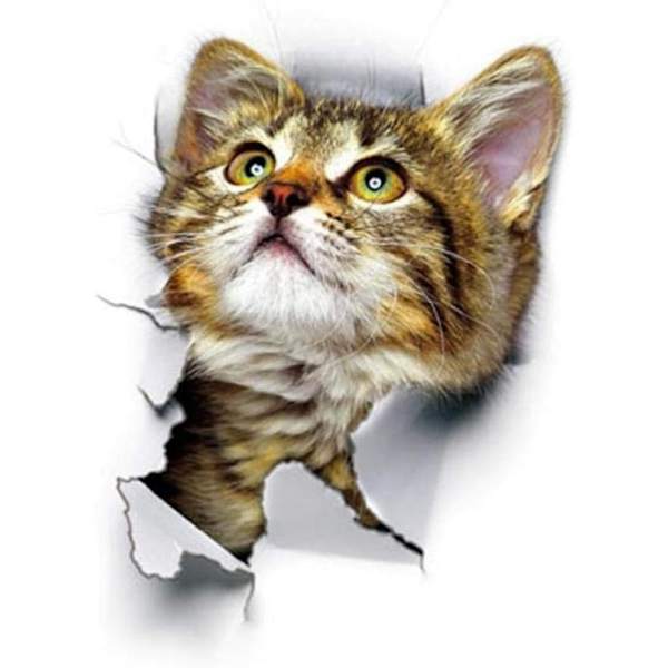 Hål-Se Söt Katt 3D Väggdekal Badrum Toalett Barnrum Dekoration
