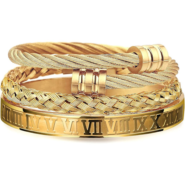 Armbånd i rustfrit stål til mænd Guld Romertal Bangle Brace