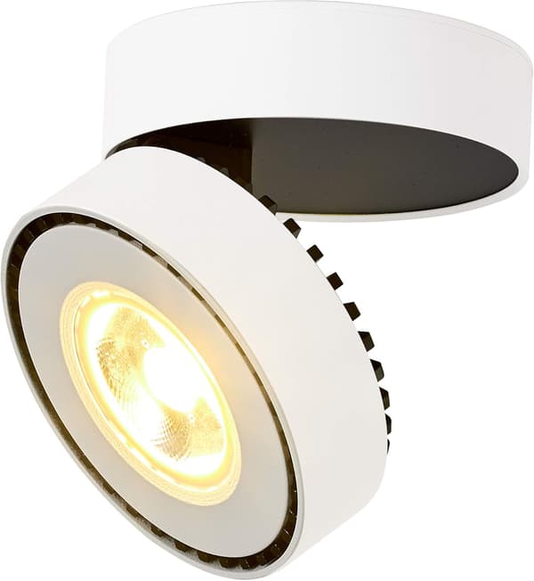 12W LED Loftlampe til loft, justerbar lampe krop DXGHC