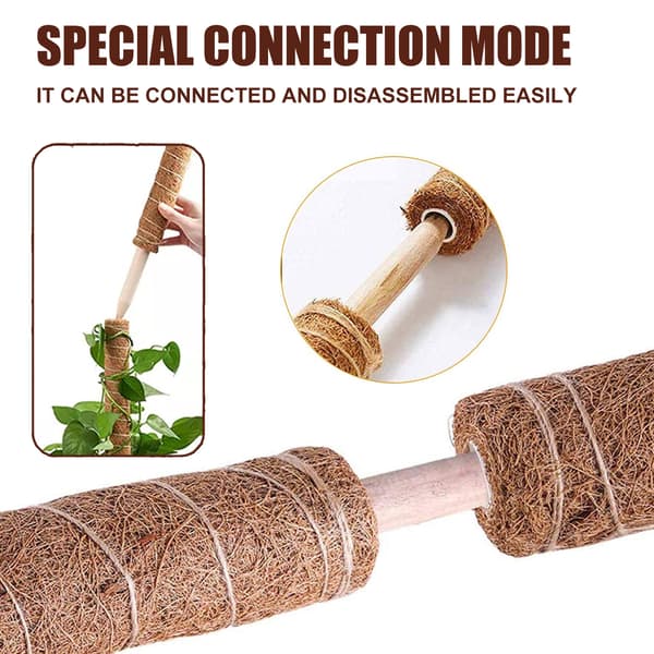 Plantevinstøttepæl til monstera - kokosfiber
