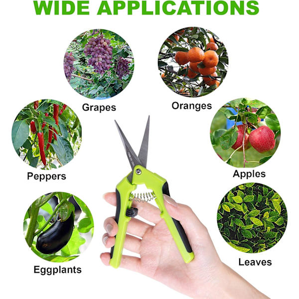 Handträdgårdssax för bonsai, hög precision
