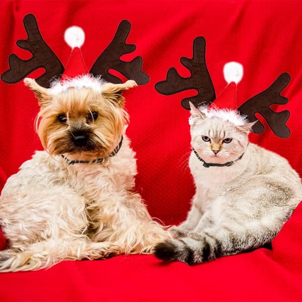 Julehovedbånd til kæledyr, Hjortegevir til hund og kat, Julekostume