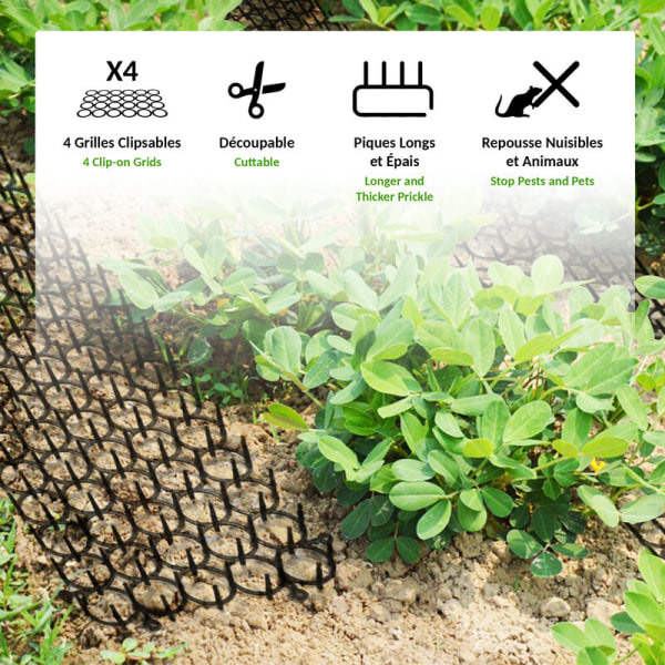 Sett med 4 Anti-Skadedyr Gitter - Naturlig Avvisende for Planter og Grønnsaker