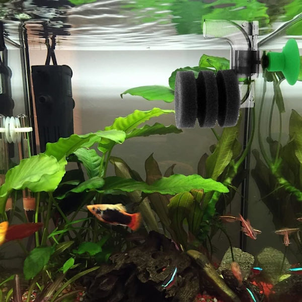 Enkelt Svampfilter til Akvarium - Nedsænkbart Skumfilter til S