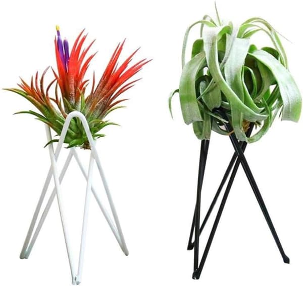 (Svart) 2-pack Luftväxtställ Tillandsia Bas Modern Geometrisk Metall