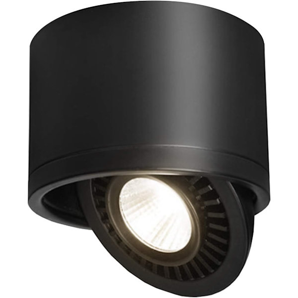 15W Svart Taklampe 1 LED-Spotlight Justerbar Taklampe