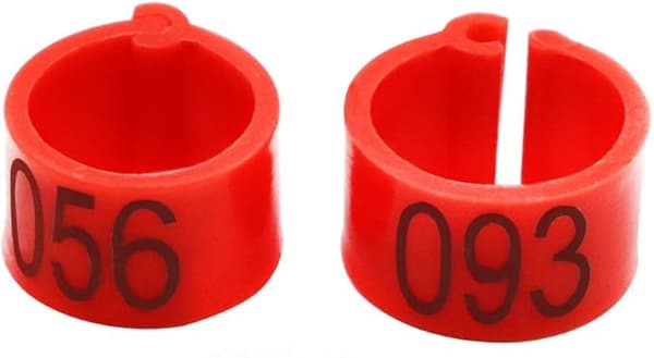 100 st/påse 16MM 001-100 Numrerade Plastfågelben Multifärgade DXGHC