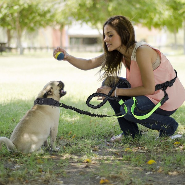 Husdjurshundsledning dubbla handtag träningslöpande hundbälte Blyreflekt
