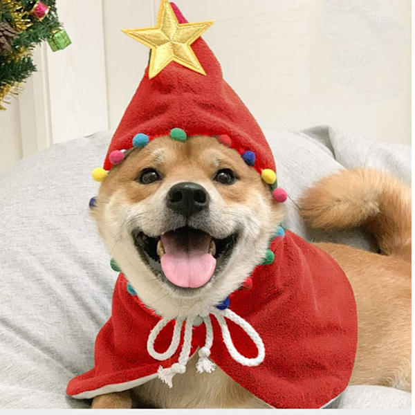 Katte-kappe i camouflage-design til jul - juletræskappe til katte og hunde