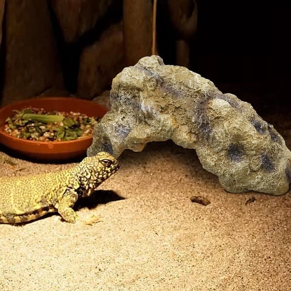 Reptilstein Skjulested Hule, Gecko Skjulested Landskapsstein, Skjul Øgle He