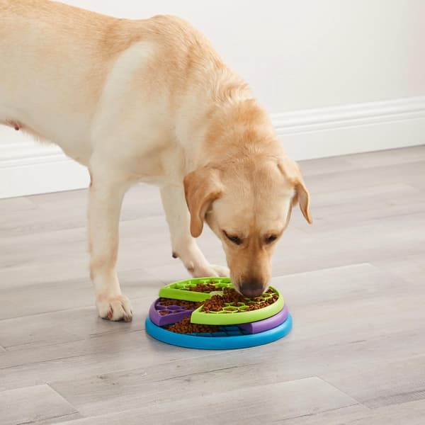 Interaktivt puslespill og Lickin' Layers anti-glodde hundebolle