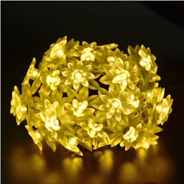 Batteridrevet strenglampe med 6m 40 LED Lotus Fairy lampe, 8 lystilstande