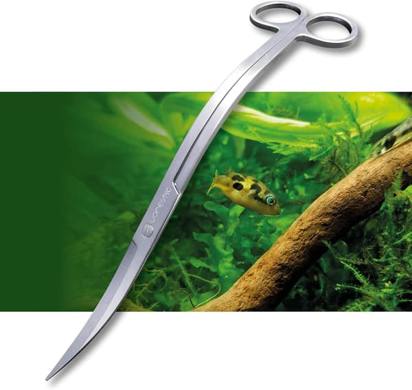 Vågsax för Akvarium Vattenväxter - Vågsax - Aquar
