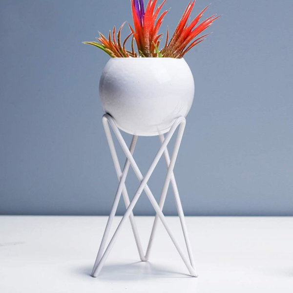 （Hvit）2 stk Luftplante Stativ Tillandsia Base Moderne Geometrisk Metall