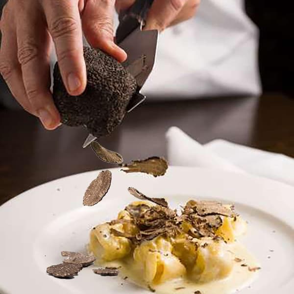 Truffelskærer i Rustfrit Stål Justerbar Chokoladeblad Chocola