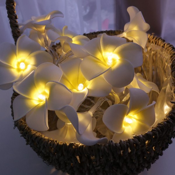 50 LED Rosa Frangipani String Lights, Foam Faux Frangipani Smet