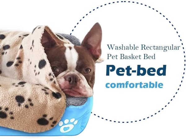 Hunde seng, vanntett dyrematte og sovepute for katt