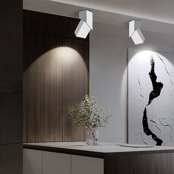 12W Taklampe LED Downlight, Justerbar Lampehode Vinkel