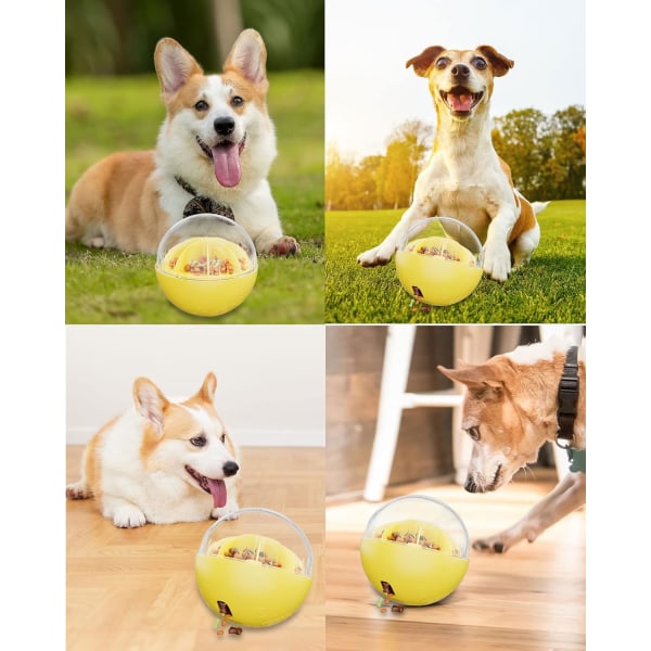Behandling dispensering hund leksak boll, inomhus hundar använder shaking cuck