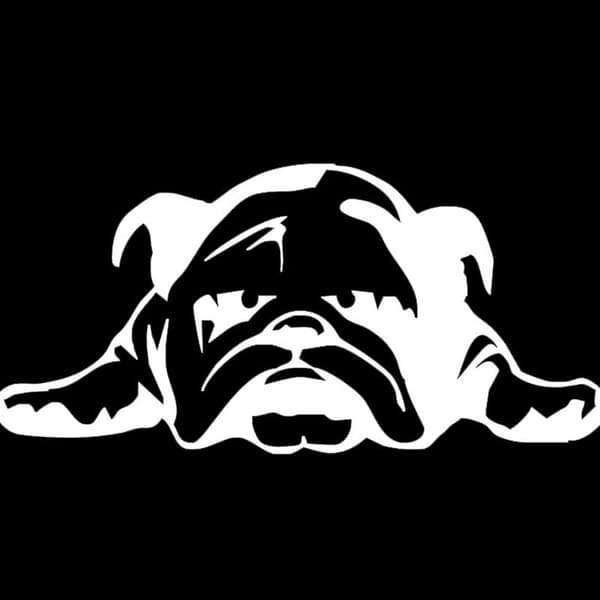 4 stk. Hunde Bilstickers Vandtæt PVC Bilstickers Sort Hvid DXGHC