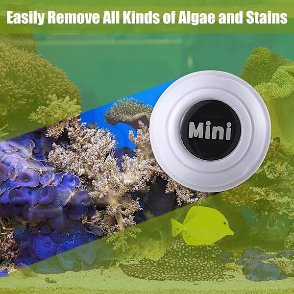 2 Stykker Lille Mini Magnetisk Børste Akvarium Børste Alge Fjernelse