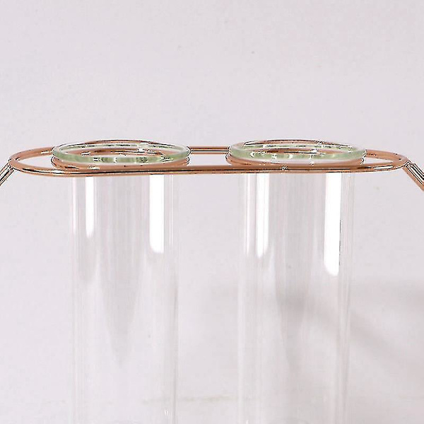 S Creative Hydroponic Vas Nordic Ins Hem Vardagsrum Rose G DXGHC