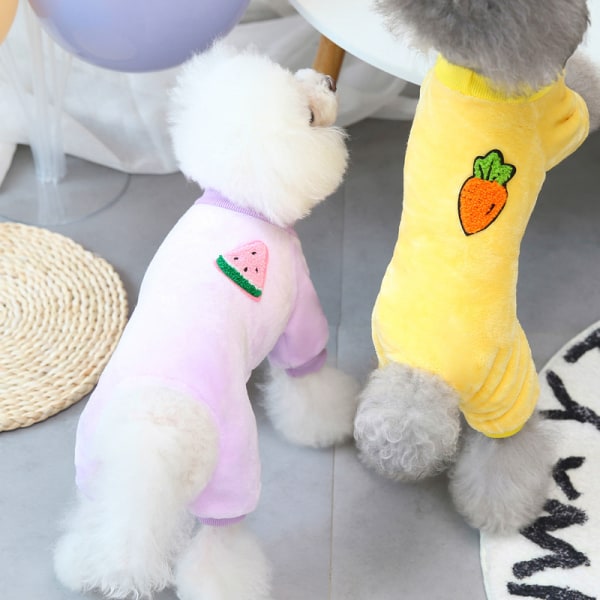 2 stycken Teddy små hundkläder husdjursfrukt fyrbenta c