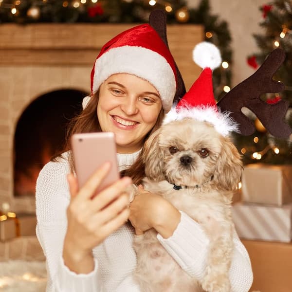 Julehovedbånd til kæledyr, Hjortegevir til hund og kat, Julekostume