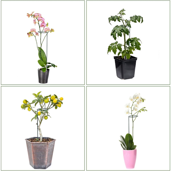 8 stk. Plantestøtter, Runde Grønne Støtter til Planter, Hjælp Dine Planter