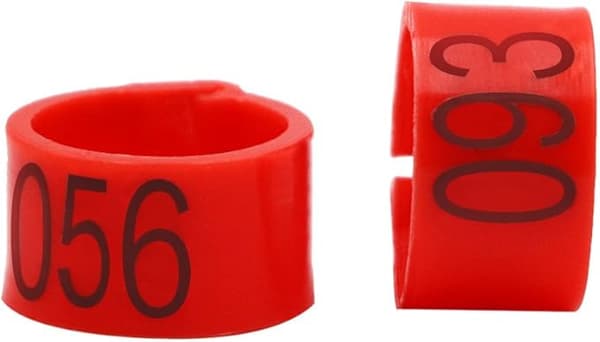 100 st/påse 16MM 001-100 Numrerade Plastfågelben Multifärgade DXGHC