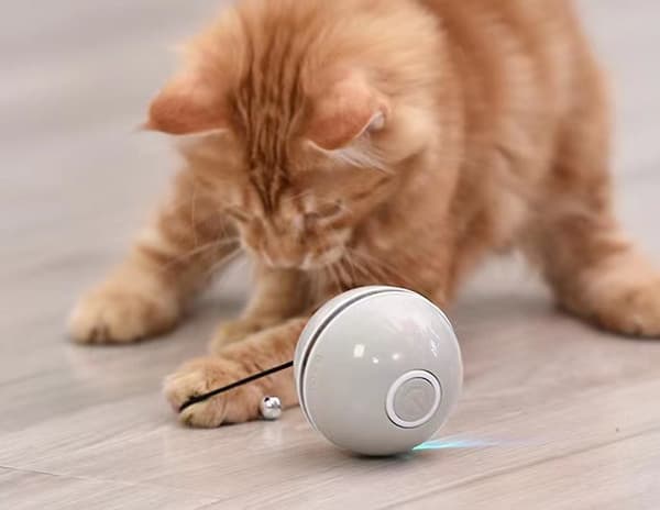 Husdjurstillbehör Katt leksaker Luminous kattboll USB laddningsbar intel