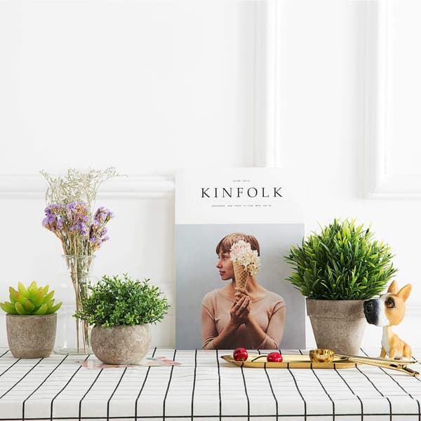 Mini Plastväxter i Kruka Bonsai (Set om 2), Liten F