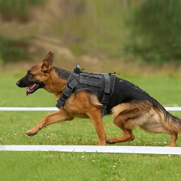 Taktisk hundjacka vattentät explosionssäker flush tactical ch