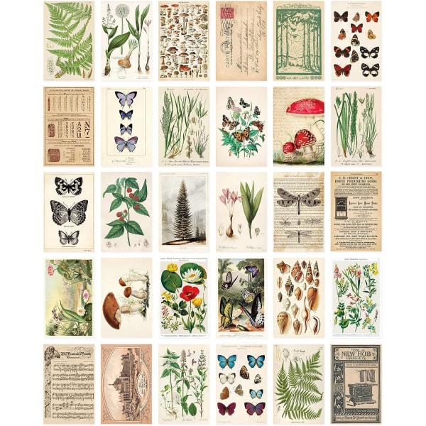 Set: 30 vintage botaniska produkter, natur och Mayfly Post