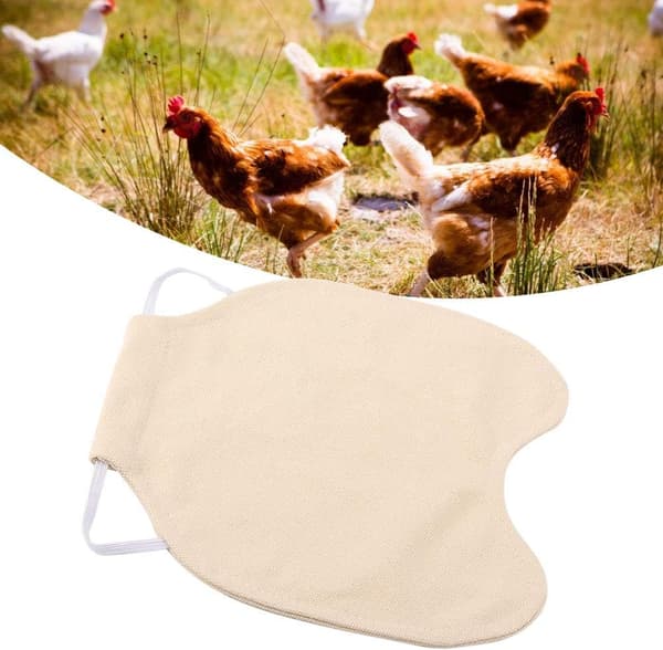 Kycklingvästar, fjäderfäskyddande förkläden, kycklingtröjor, chi