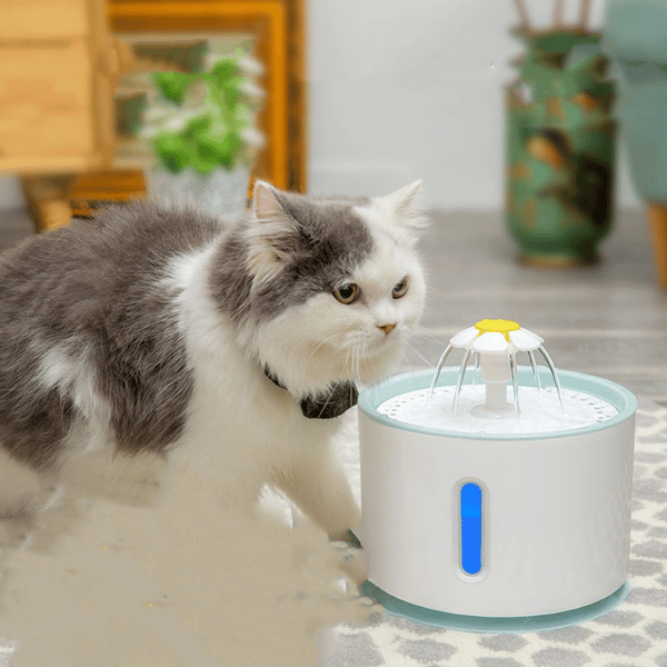 Kattedrikkefontæne, vanddispenser til katte med vandstand