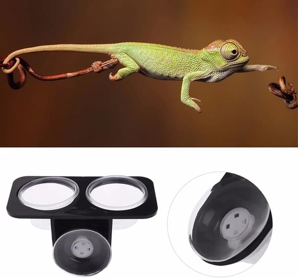 Matningskopp Reptilmatare, Dubbla Matningskoppar för Reptiler