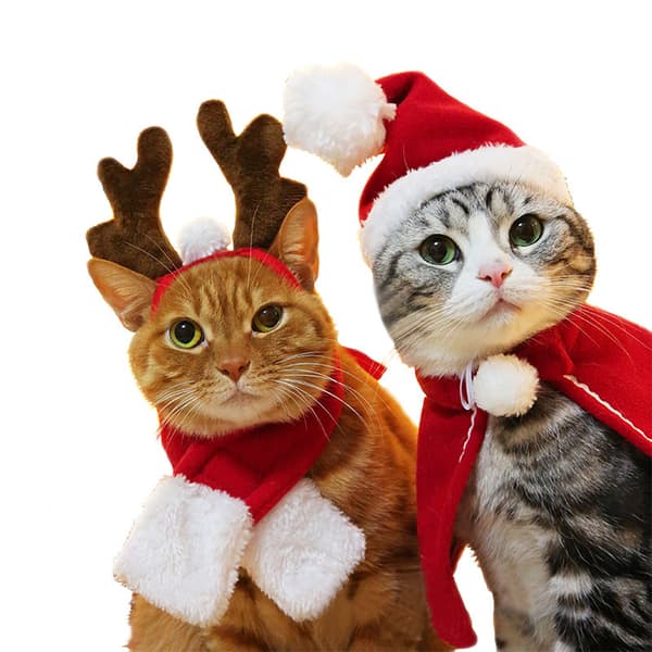 Julehatt med skjerf til katt, julekostyme for valp