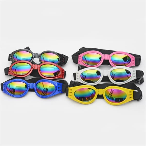3 par hundebriller, anti-UV, vind, d