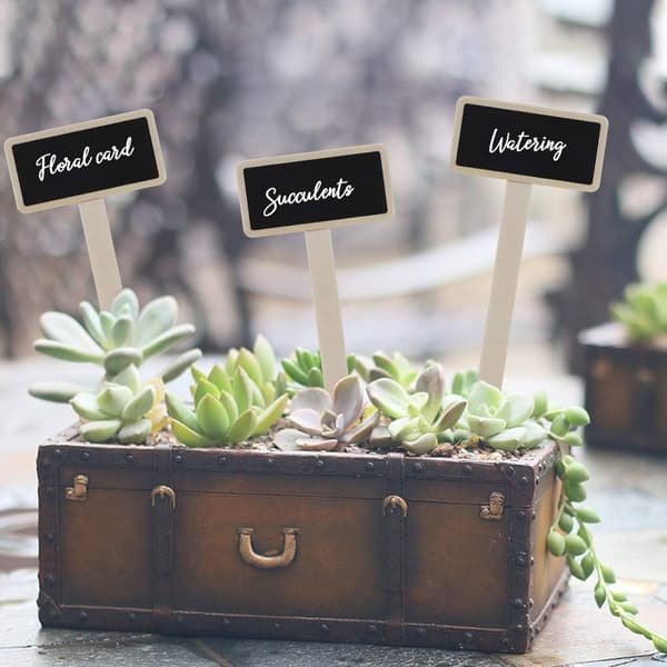 Mini Træ-Tavle Plante Etiketter til Have