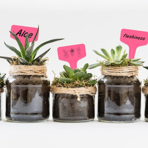 100 st Plant Etiketter Plantor Etiketter Grönsaksodling Planti DXGHC
