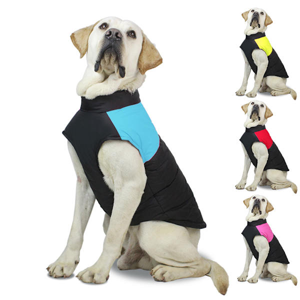 Hundekåbe, blå vintertæt jakke til små og mellemstore hunde