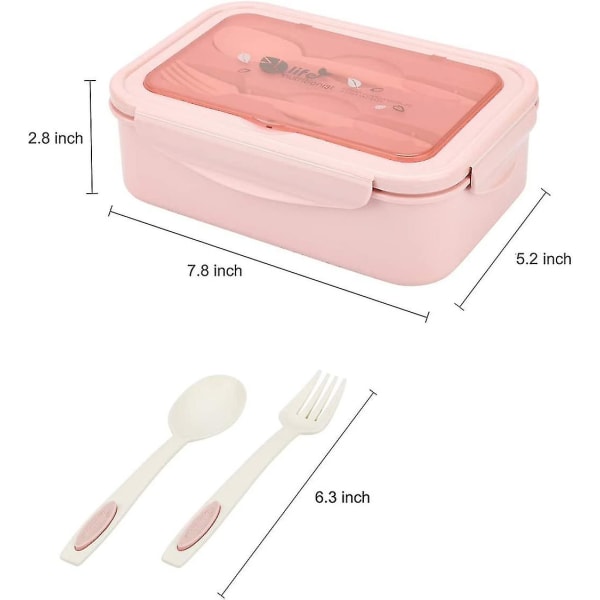 Dww-lunchbox, plastmatlåda för vuxna barn, tre jämförbara DXGHC