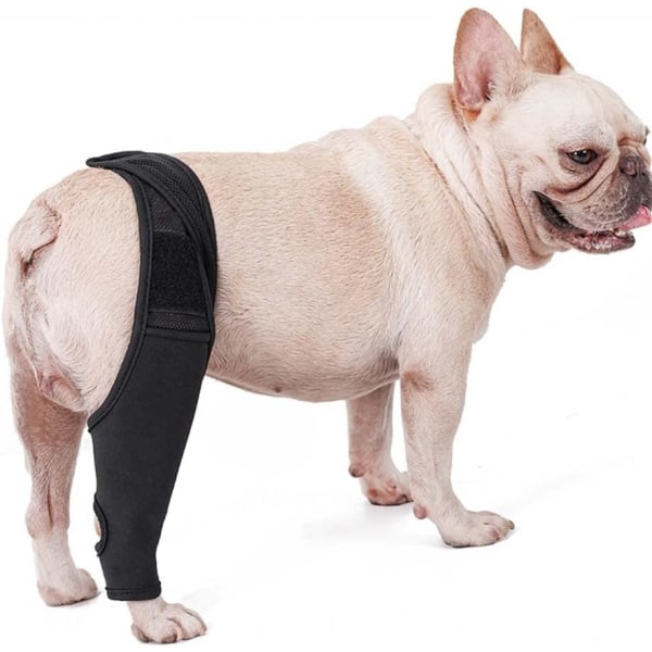 Dog Knee Brace, Neopren Dog Albue Protector med sidestabil DXGHC