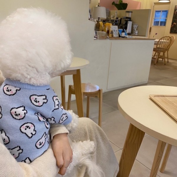 Høst- og vinterhunde er fulde af kaniner og sweatre, små