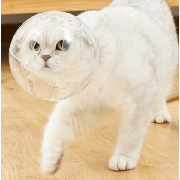 Kattmask katthjälm kattmaskhjälm husdjursskönhetsmask katt justerbar